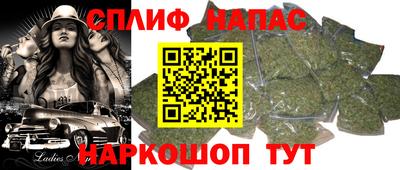 стафф Кингисепп