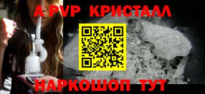 стафф Кингисепп
