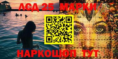 стафф Кингисепп