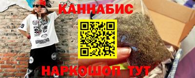 стафф Кингисепп