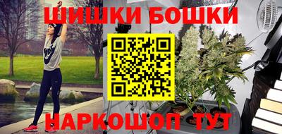 стафф Кингисепп