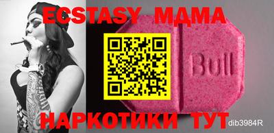 стафф Кингисепп