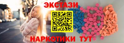 стафф Кингисепп